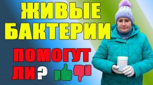 Живые бактерии или как избавиться от запаха в курятнике.