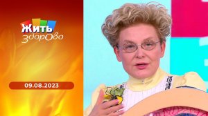 Жить здорово! Выпуск от 09.08.2023