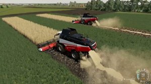 ✅Farming simulator 2019 СТАДИИ СОЗРЕВАНИЯ УРОЖАЯ (БЫСТРЫЙ НАГЛЯДНЫЙ ТЕСТ ) ???