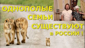 Однополые семьи и их причины в России