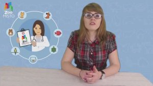 Демодекоз у кошек. Советы ветеринара