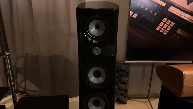 DAN D'AGOSTINO Progression & FOCAL Sopra N.3 смотреть онлайн