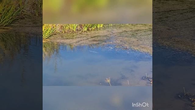 Рыбалка осенняя в Астрахани на джиг и мормышинг. Октябрь 2023 года смотреть онлайн