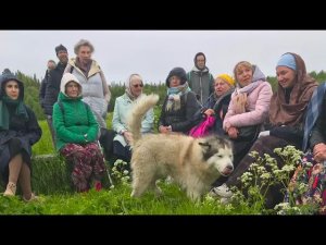 Соловецкие острова Июнь 2023