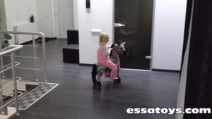 поницикл "Зебра" игрушки оптом