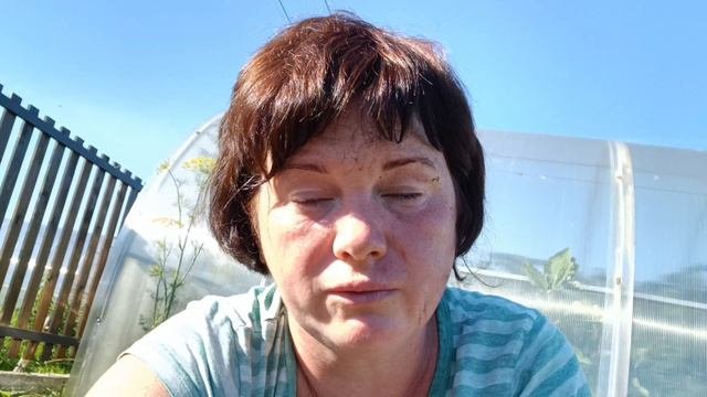 Сад,огород на Псковщине