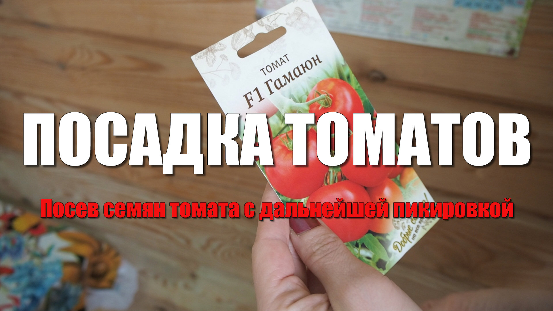 Посадка помидоров на рассаду. Посев семян томата с дальнейшей пикировкой. Сорта томатов