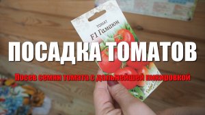 Посадка помидоров на рассаду. Посев семян томата с дальнейшей пикировкой. Сорта томатов