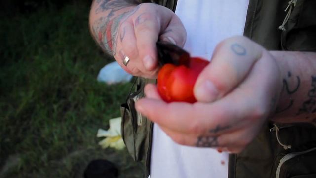 ПИКНИК С БОЯРОМ - Итальянская паста с речными мидиями | Готовим свежих мидий смотреть онлайн