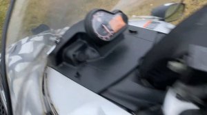 Yamaha Viking Professional 2005 год на продажу