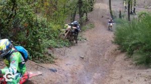 Wild Woods Extreme 2022 - Академия неудач