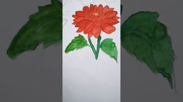 dhalia flower  ভালো লাগলে like ,comment ,share and subscribe  করবে please