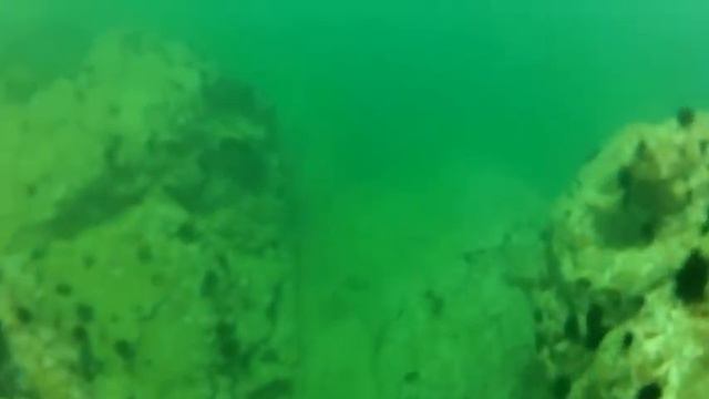 Приморский край, Японское море, г.Владивосток - Дайвинг