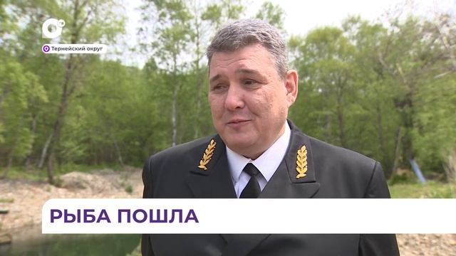 В Тернее в реку выпустили миллион мальков кеты смотреть онлайн