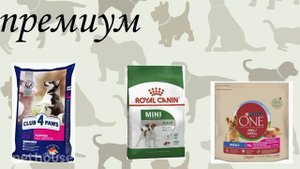 КАКИМ КОРМОМ КОРМИТЬ СОБАКУ I КЛАССЫ КОРМОВ ДЛЯ СОБАК I CLASSES OF DOG FOOD
