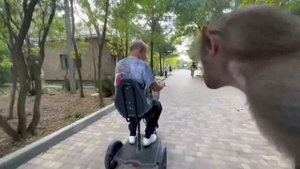 Люська ревнует Сонечку и строит 24 НОСУХИ)))