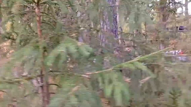 Палатка и печка."ПФ Берег" смотреть онлайн