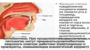 Причины и лечение желтых соплей у взрослых