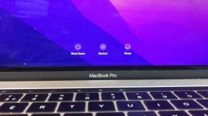 Macbook pro a1990 screen flickering issues