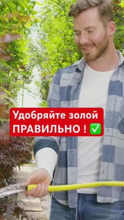 99% садоводов используют золу НЕПРАВИЛЬНО
