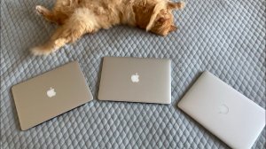 21 января 2024 г.