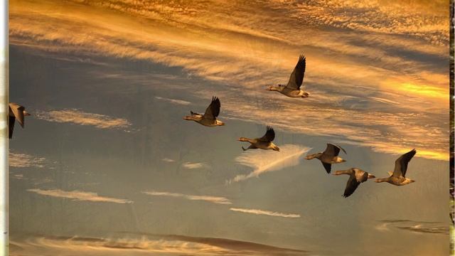 К. Бальмонт . Поспевает брусника... смотреть онлайн