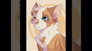 топ 15 самых красивых котов воителей ♡