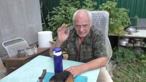Завариваем Чагу. От чего она помогает.