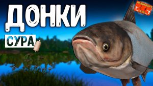 РР4/ рыбалка для души, ловим как универсал, общаемся 05.04.24