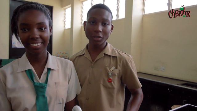 Groove Campus Spring 2015 : Excelsior High School "Sci-Tech Project" смотреть онлайн