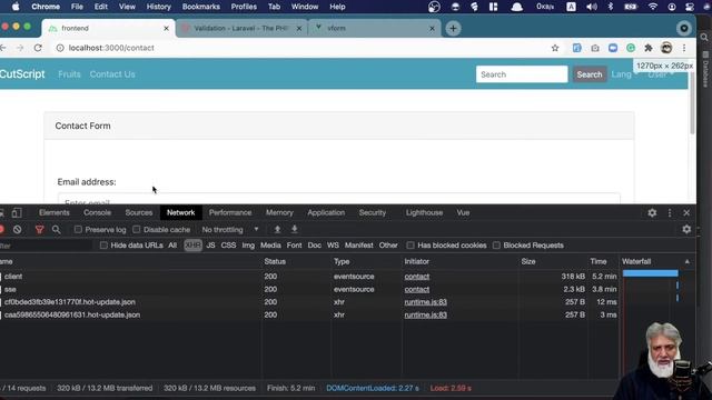 Part 3 - Nuxt/VUE and backend Laravel form Validation