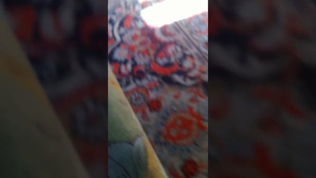 Сова на день рождения! смотреть онлайн