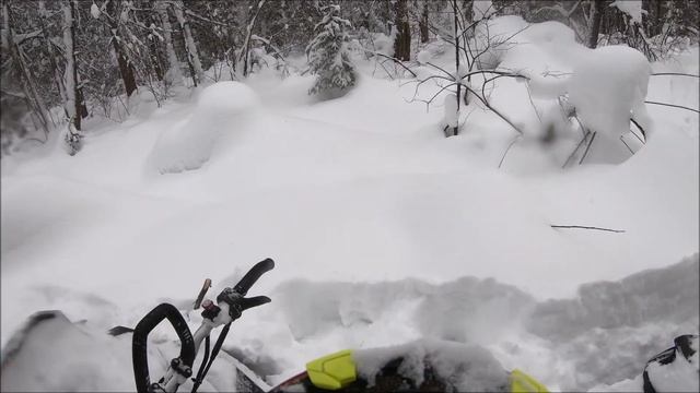 BRP Summit 850 | Поймал дерево под снегом смотреть онлайн