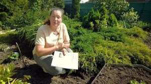 ЛУЧШИЕ СОЧЕТАНИЯ И КОМБИНАЦИИ РАСТЕНИЙ ДЛЯ МАЛОУХОДНОГО САДА НА МОЕМ УЧАСТКЕ, ДЕЛЮСЬ ОПЫТОМ