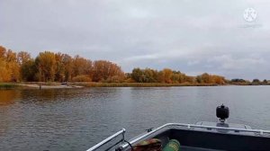 Свиммер 370. Устье реки Сок.