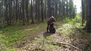 Проверяю порхалища результат неожиданный соболя зайцы медведи и ни одного глухаря Подновил галечник