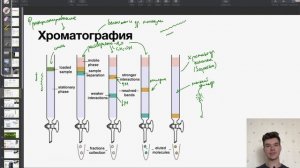 Хроматография | Биология ЕГЭ