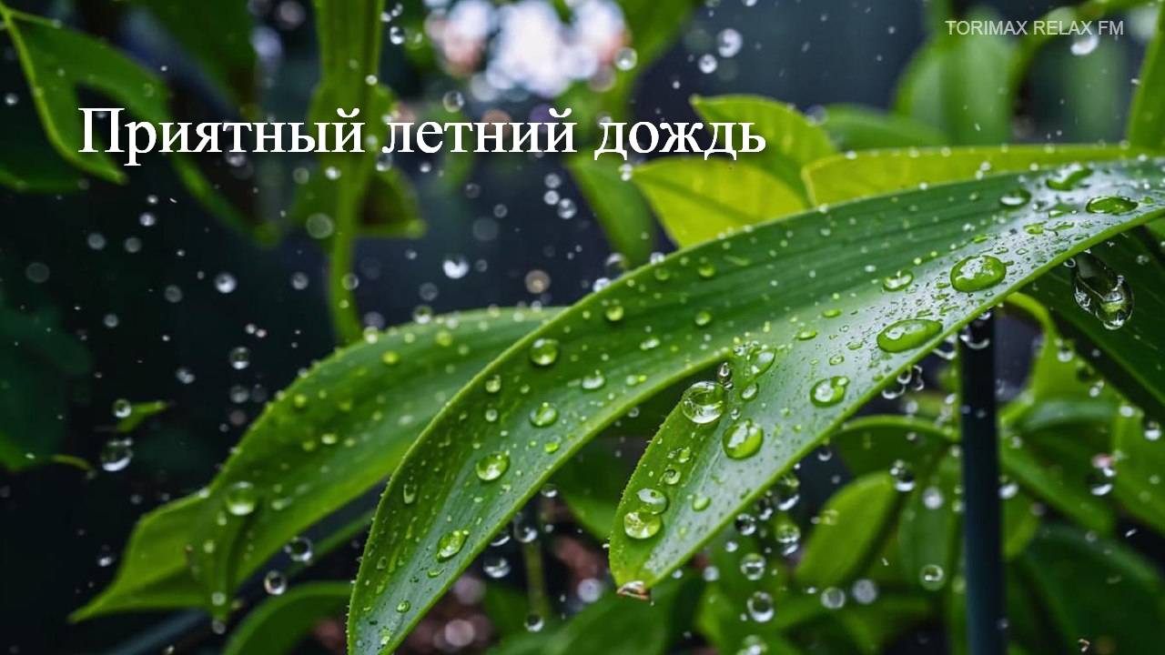 Приятный летний дождь с грозой | Звуки дождя