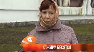 С жиру бесятся