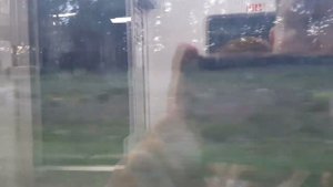 Стук колёс поезда Ласточка, закат, романтика железной дороги
