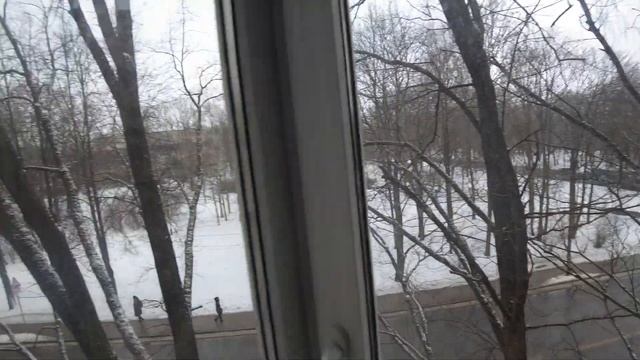 Оранжерейная улица дом 39, г. Пушкин, Аренда квартиры смотреть онлайн