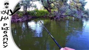 Вечерняя вылазка за щукой. Рыбалка на воблеры