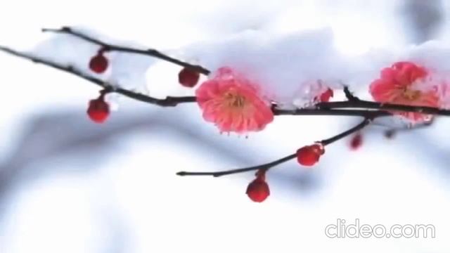 Обзор канала. Будни Ани. Хорошая мама, жена и хозяйка. смотреть онлайн