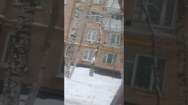 Лузеры и погода... в любое время года... смотреть онлайн
