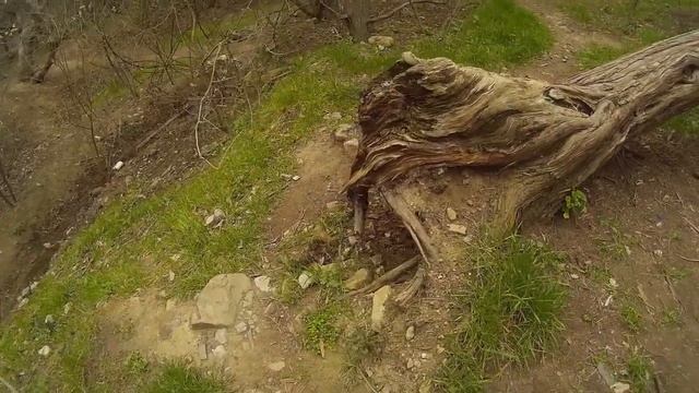 Места в Новом Свете, которые посетила в первый раз. Международный день птиц! 01.04.22 г..mp4