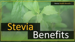 Stevia leaf extract benefit