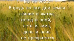 Вспаханное поле