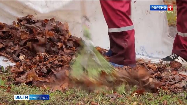 В Смоленске готовят к зиме парки и скверы