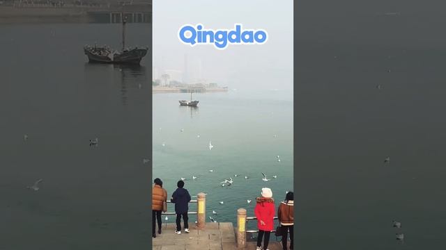 Qingdao city, China?? #china #traveling #travelvlog #qingdao #shorts