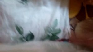 Мой домик из одеяла и подушек